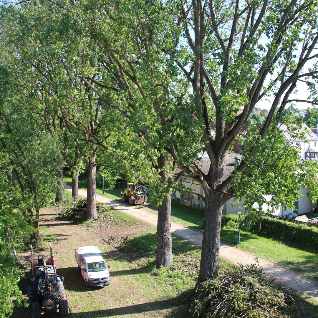 © Stadt Amberg
