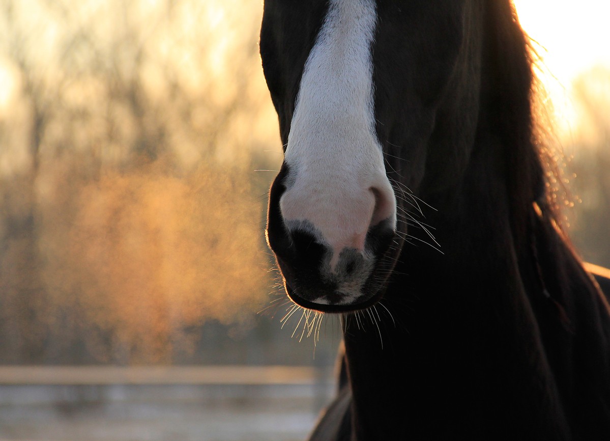 © Symbolfoto: Elisa Al Rashid, pixelio.de