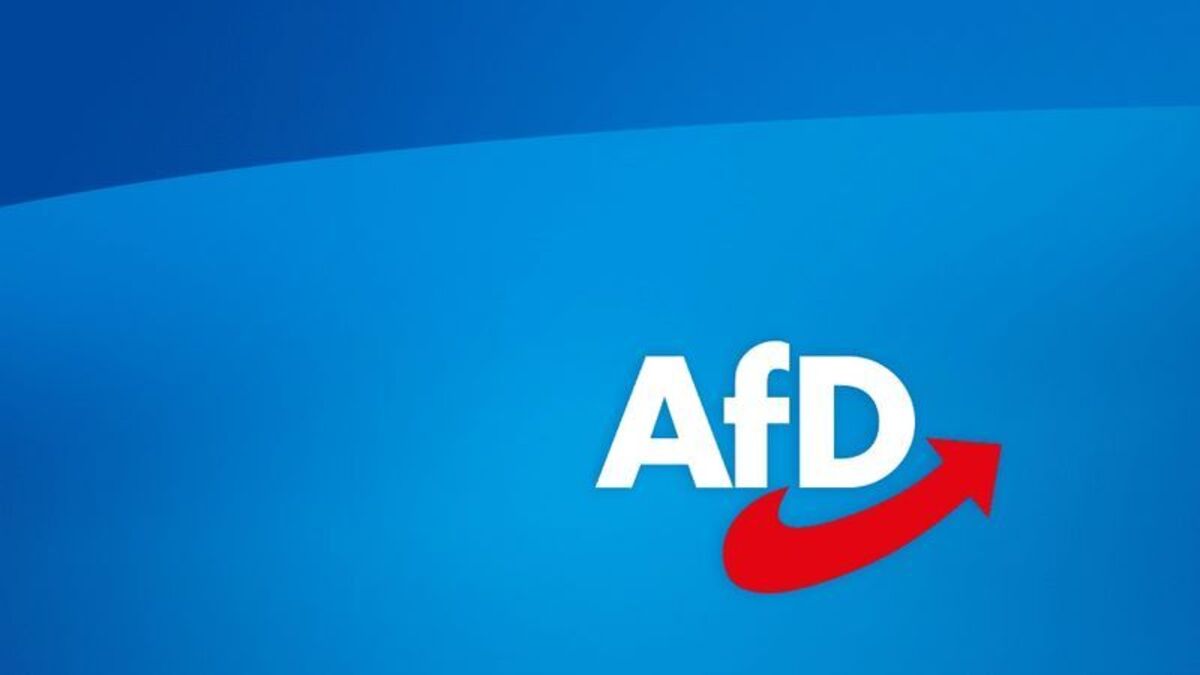 © Foto: AfD / obs