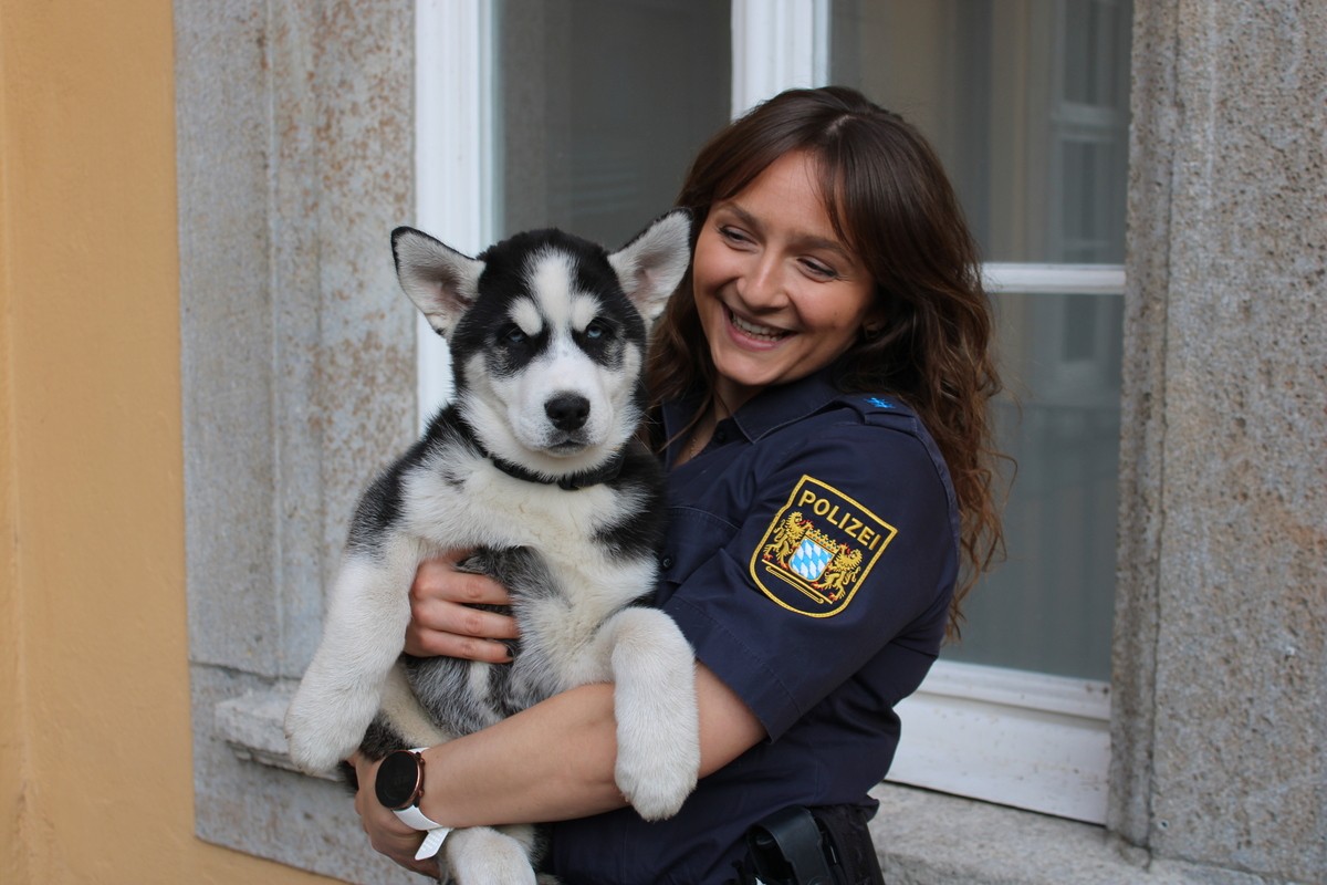 © Foto: Polizei Regensburg