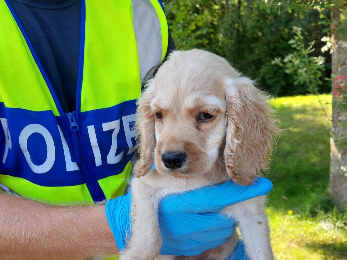 © Foto: Bundespolizei