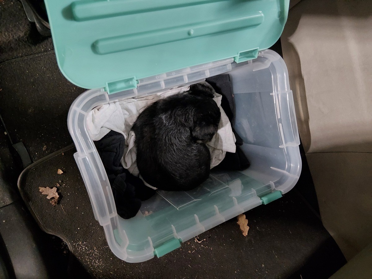 © Foto: Bundespolizei