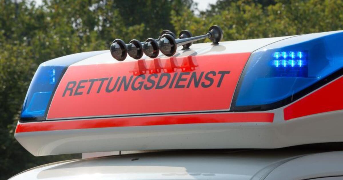 Freilaufende Ponys verursachen schweren Verkehrsunfall