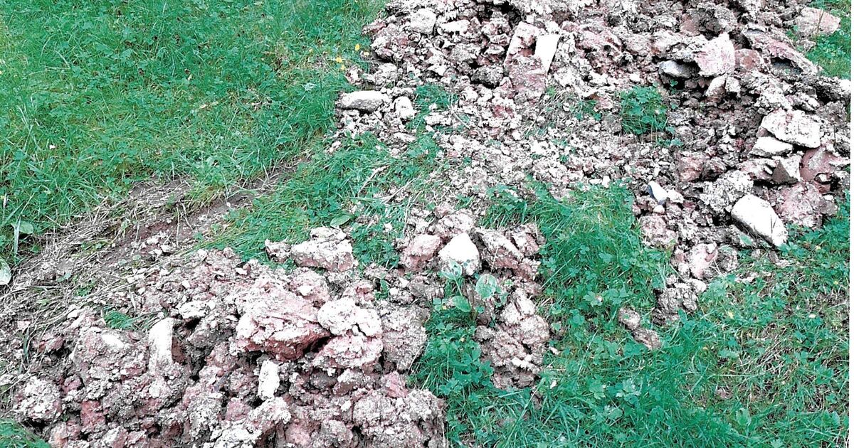 Illegale Bauschuttablagerung im Manteler Forst Radio Ramasuri