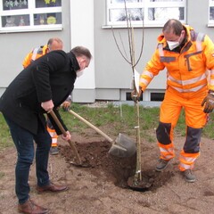 Apfelbaum Kammerer Arbeiter.jpg