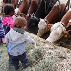 IMG_6936 - Kinder im Kuhstall_klein.jpg