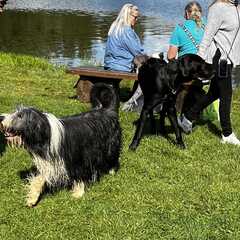 Hundebadetag2023_12.jpg