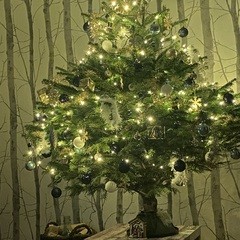 Christbaumschau’n | #2210385