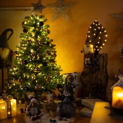 Christbaumschau’n | #2210469