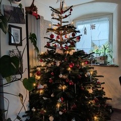 Christbaumschau’n | #2222505