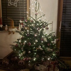 Christbaumschau’n | #2232633