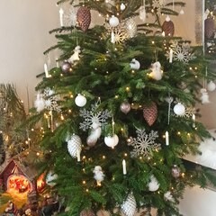 Christbaumschau’n | #2233122