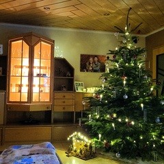 Christbaumschau’n | #2233680