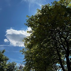 IMG_1216.jpeg