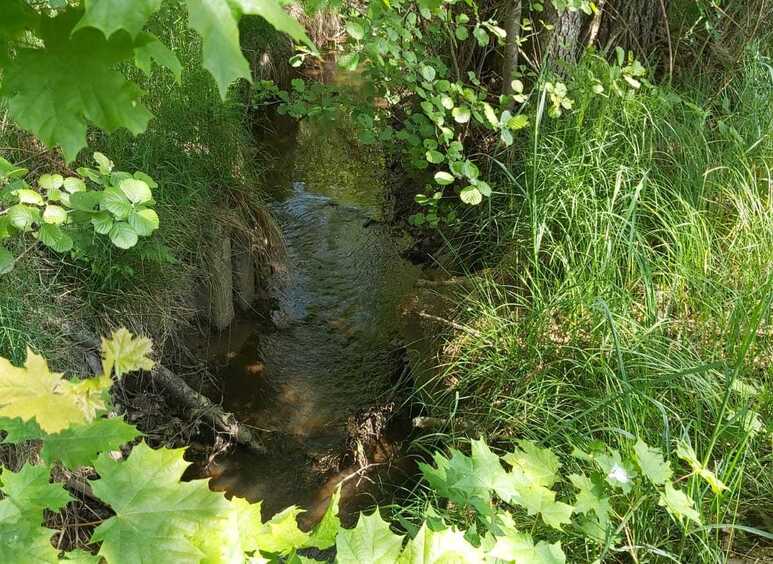 Natur pur im Land der Tausend Teiche Spaziergang durch die Heusterz