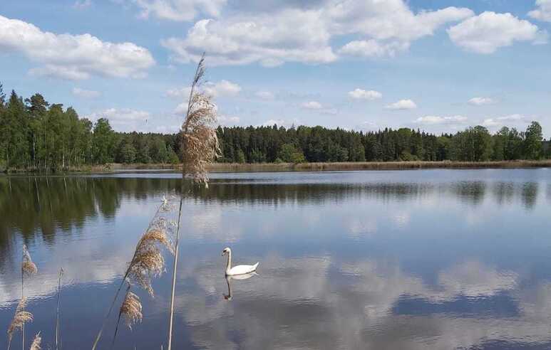 Natur pur im Land der Tausend Teiche Spaziergang durch die Heusterz
