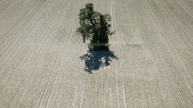 © Symbolfoto: Boris Roessler/dpa