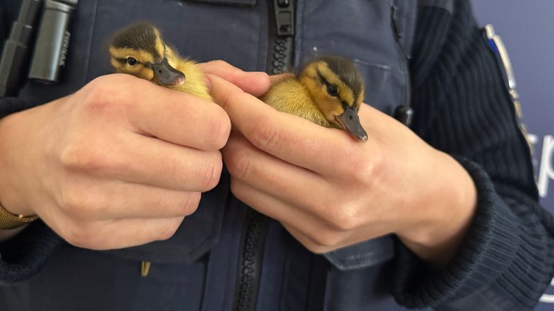 © Foto: Polizei Regensburg