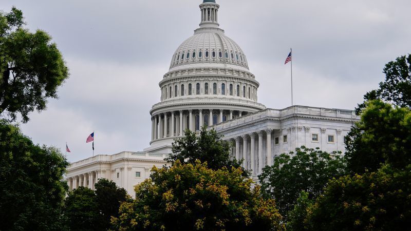 © Foto: Julia Demaree Nikhinson/AP/dpa
