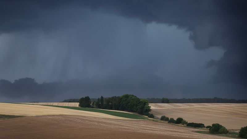 © Karl-Josef Hildenbrand/dpa