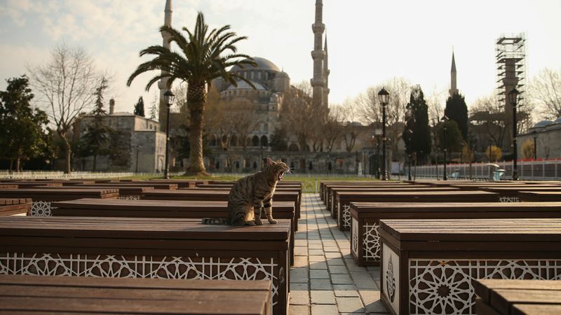 © Foto: Emrah Gurel/AP/dpa