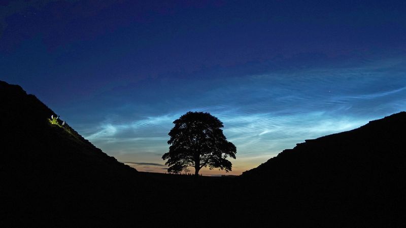 © Foto: Owen Humphreys/PA Wire/dpa