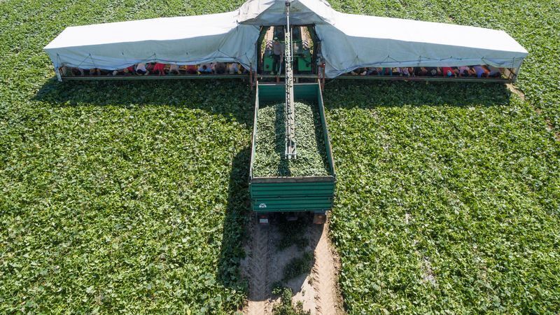 © Bild: Armin Weigel/dpa