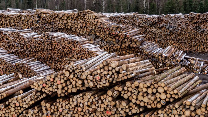 © Foto: Armin Weigel/dpa