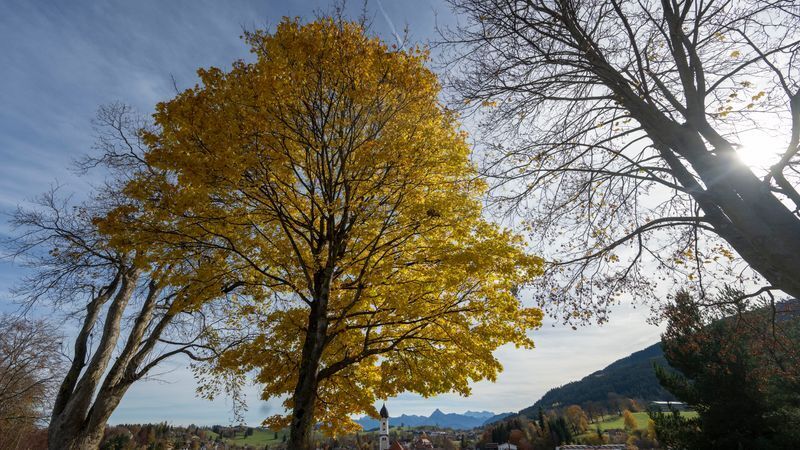 © Foto: Stefan Puchner/dpa