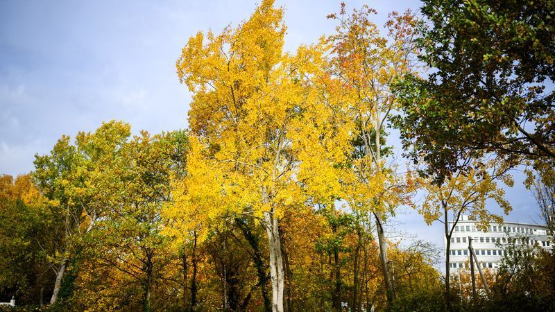 © Foto: Julian Stratenschulte/dpa